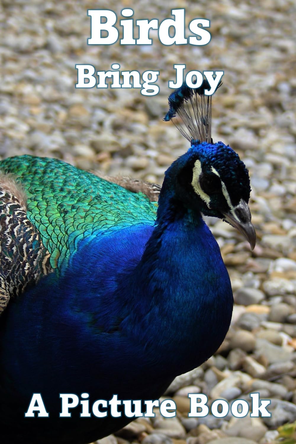 Birds Bring Joy book cover