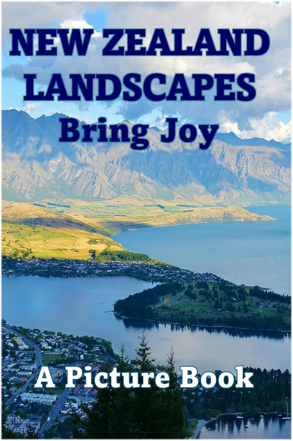 New Zealand Landscapes Bring Joy book cover